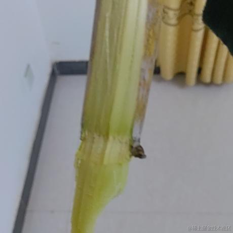 会划水才能到达彼岸于2023-01-24 15:36发布的图片
