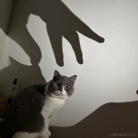 estar于2022-11-22 23:26发布的图片