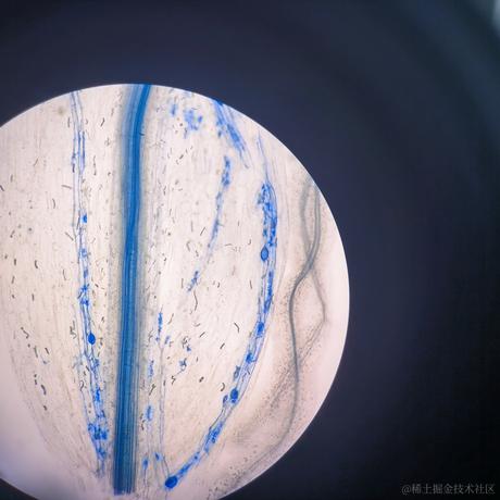 嘉然今天吃乃琳于2023-06-16 18:21发布的图片