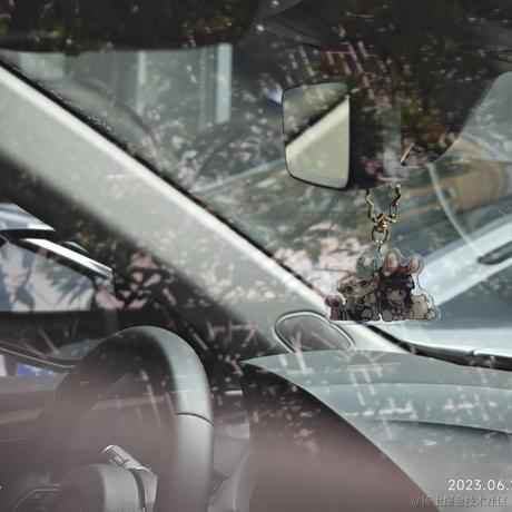 静心晚子于2023-06-20 10:28发布的图片