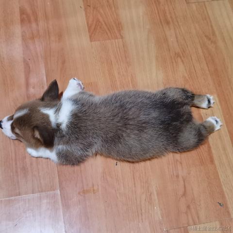 牛肉烧板黎于2020-12-09 13:01发布的图片