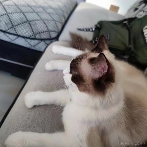 陈一月的编程岁月于2023-08-11 16:12发布的图片