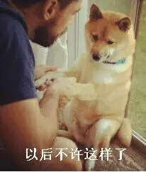 狗00053-以后不许这样了.png