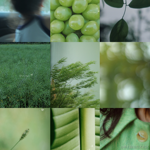 红毛丹于2022-12-20 13:38发布的图片