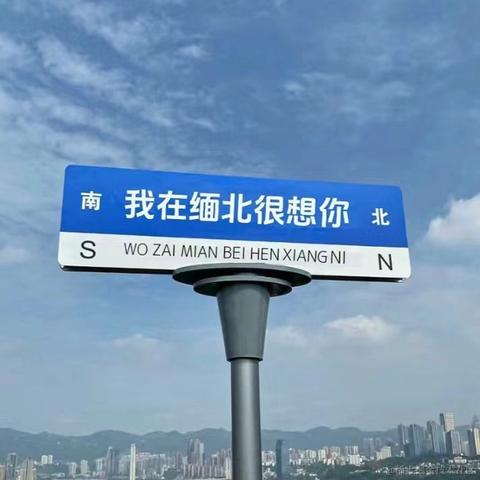 半亩花海于2023-08-14 22:32发布的图片