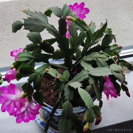 一直爱然然哦于2022-12-04 15:44发布的图片