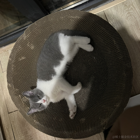 我一定有办法于2022-10-22 07:53发布的图片