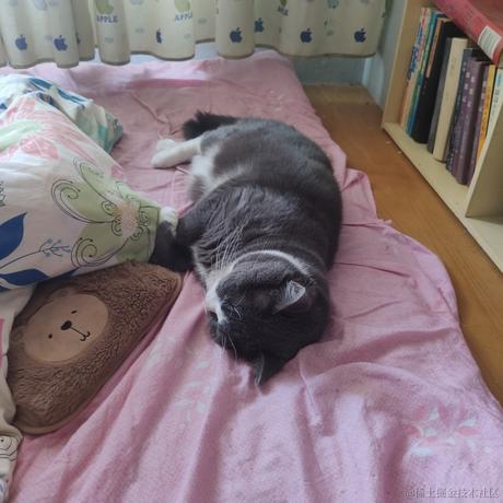 啊毛毛于2022-12-11 14:37发布的图片