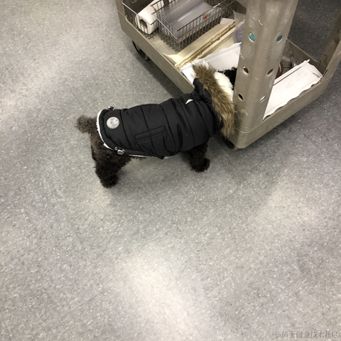 stanleykubrick于2022-11-27 19:24发布的图片