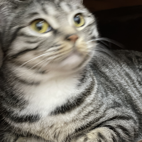 小翁小翁百万富翁于2022-12-23 21:48发布的图片