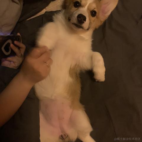 苏煜于2023-08-02 15:07发布的图片