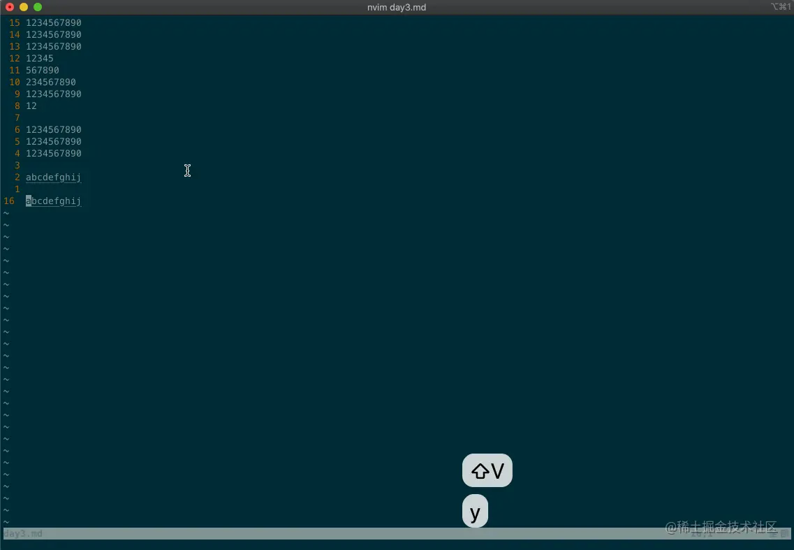 vim.day3.yank-clipboard.gif
