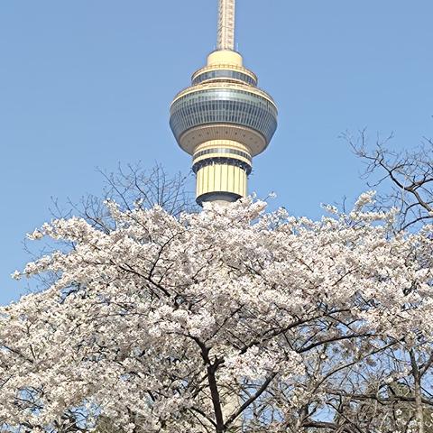 AI浩于2022-04-07 07:36发布的图片