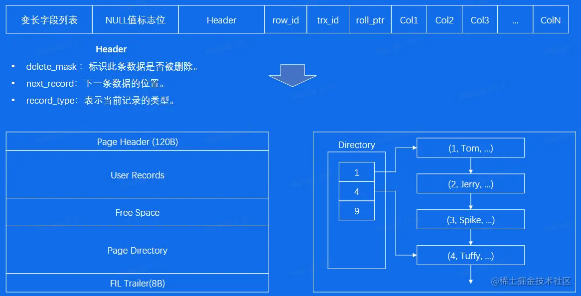 image-20230212201932521.png