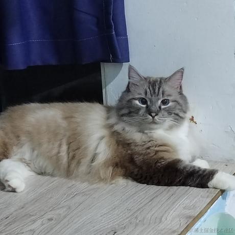 威威舍长于2023-08-04 14:54发布的图片