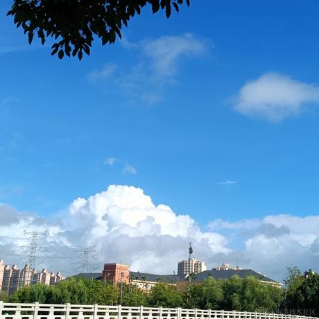 Otoriemu于2023-07-17 14:14发布的图片