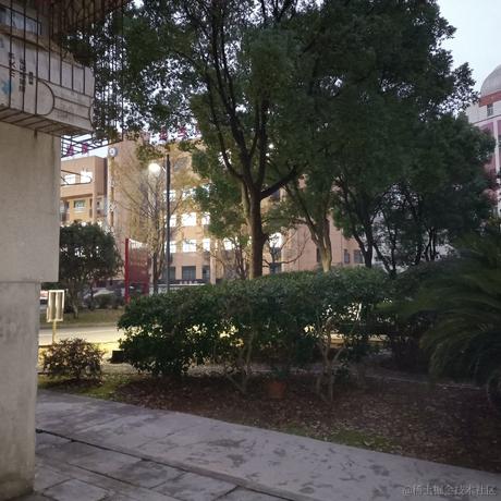 有个城市叫枝江于2022-12-08 17:52发布的图片