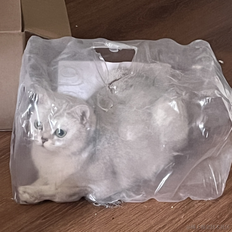 啾啾哼于2023-05-12 09:51发布的图片