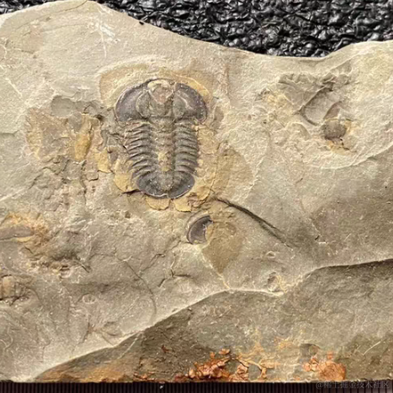 已注销于2023-01-16 18:55发布的图片