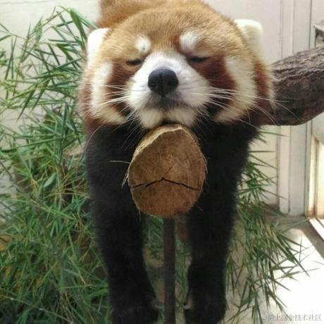 龙王980于2022-11-27 13:09发布的图片