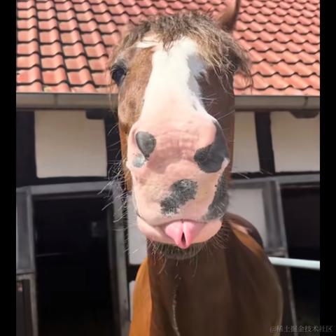 bysking于2023-07-30 09:53发布的图片