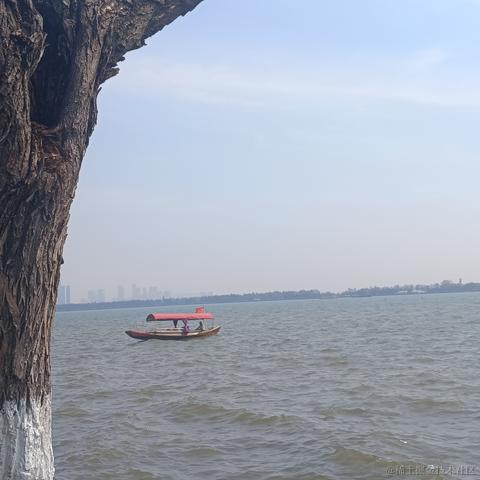 wt9527于2023-04-16 23:53发布的图片