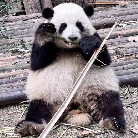 没有哆啦的A梦于2023-03-17 09:46发布的图片