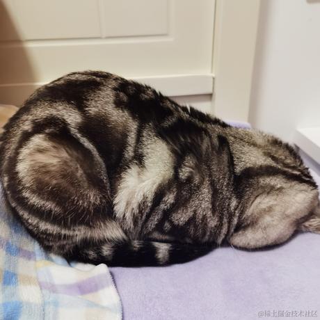 诸葛玥玥于2022-01-09 15:45发布的图片