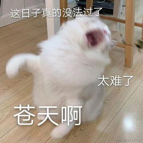 已注销于2021-01-26 19:46发布的图片