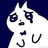 晚晚郁金香于2022-11-23 12:10发布的图片