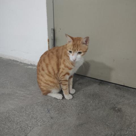 然然世界第一可爱于2022-11-11 19:41发布的图片