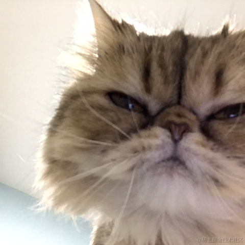 陇锦于2021-04-01 15:58发布的图片