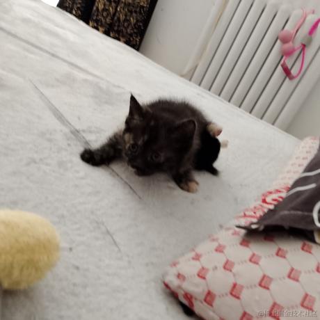 苏鹤兰于2023-04-21 12:36发布的图片