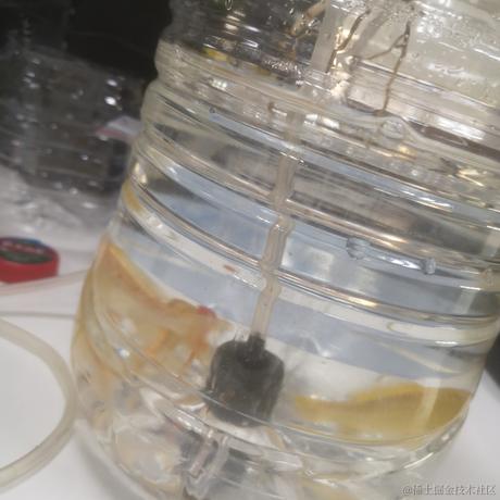 上班打工下班遛娃于2021-12-30 15:20发布的图片