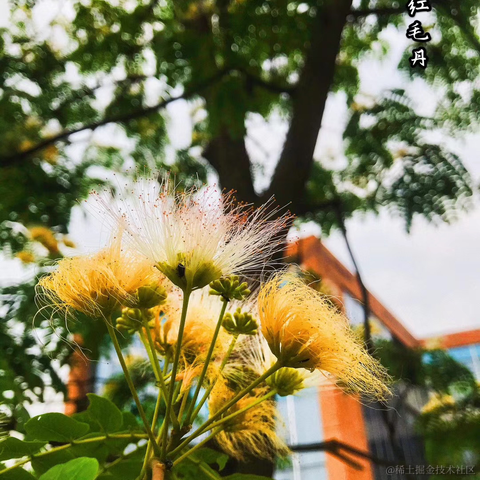 红毛丹于2022-06-09 07:33发布的图片