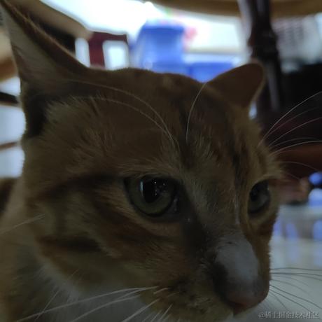 一季清凉于2022-11-28 20:29发布的图片