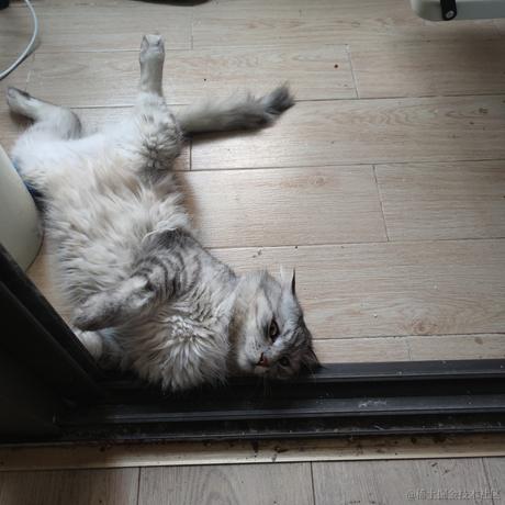 强烈抵制以小明小红为首不写自己作业的小团于2023-07-09 17:04发布的图片