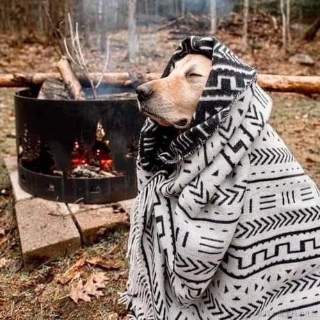 Meas于2021-10-08 10:29发布的图片