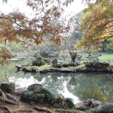 windmoon于2022-11-26 06:06发布的图片