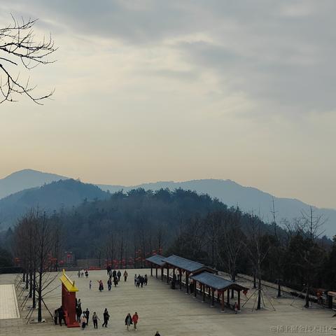 叶一一于2024-01-26 07:59发布的图片