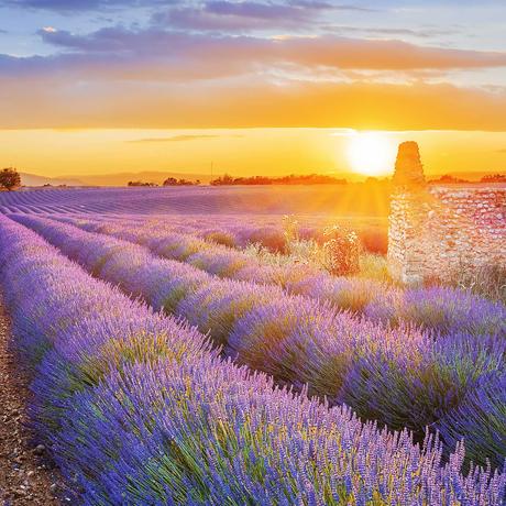 洛亦仙于2021-09-30 19:11发布的图片