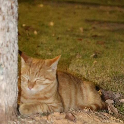 Coca_Cola于2022-12-02 20:30发布的图片