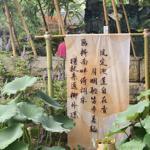 呆头飞鸟于2024-06-09 18:12发布的图片