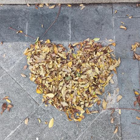 糯香香普洱于2022-11-14 13:35发布的图片