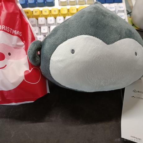 一百个Chocolate于2020-12-24 12:17发布的图片