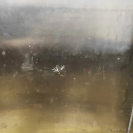 李小政935于2022-12-03 08:13发布的图片