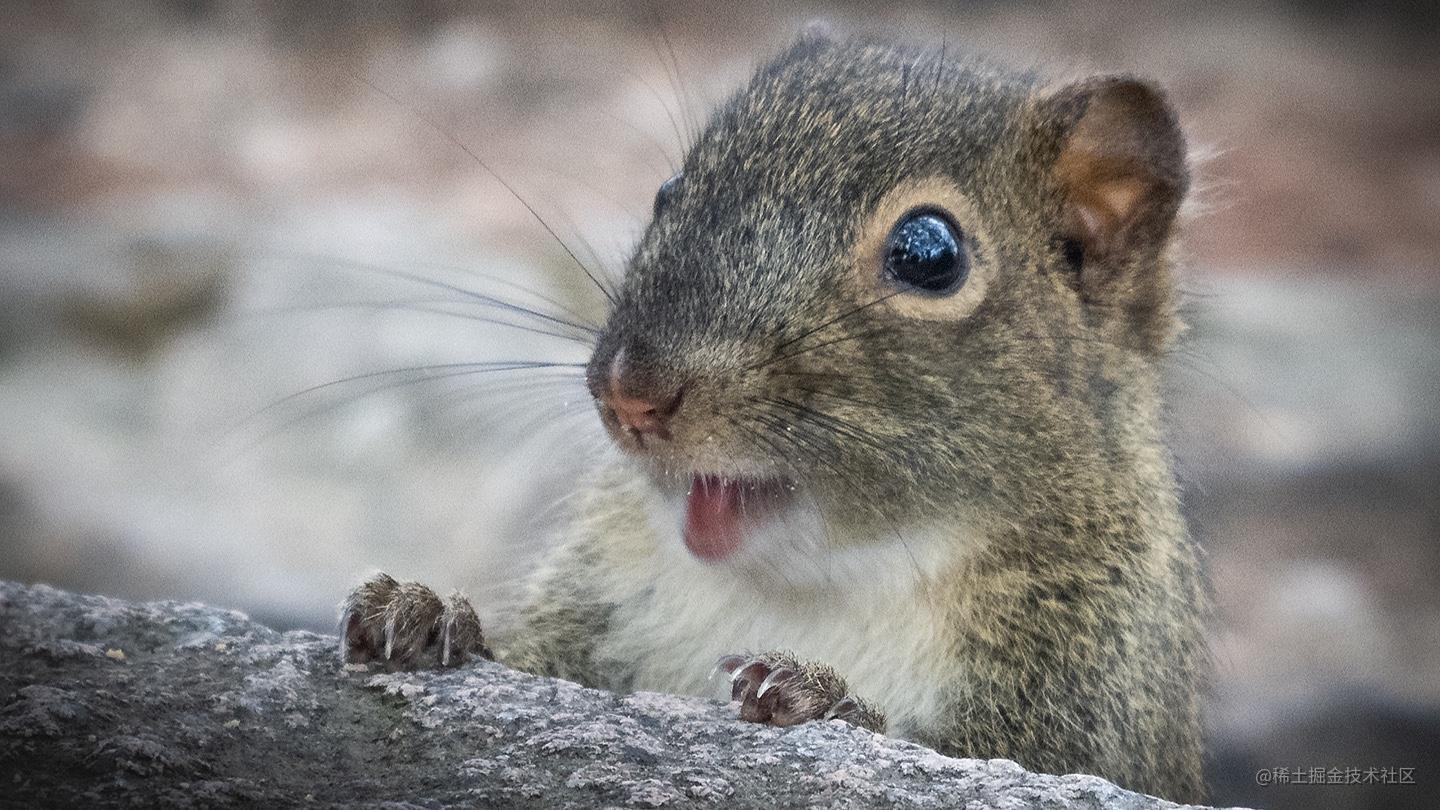 Spring-Framework源码解析