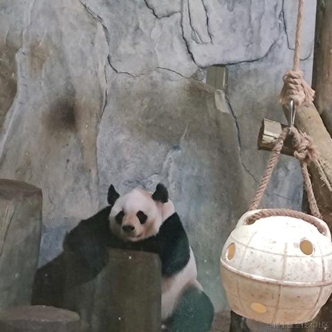 AA哥于2022-04-10 21:54发布的图片