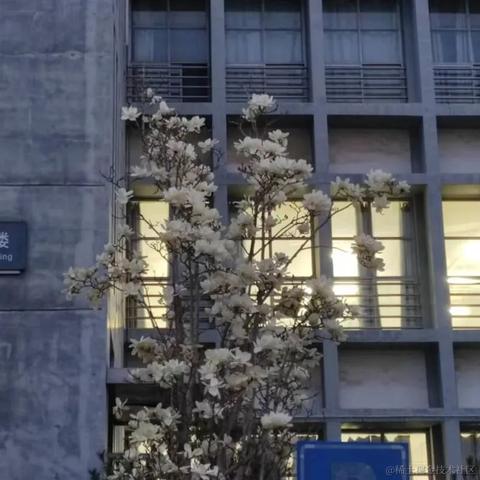 清欢N于2023-04-08 19:33发布的图片