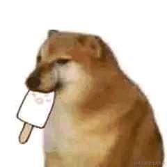 真的很爱榛子牛奶巧克力于2022-12-14 11:56发布的图片